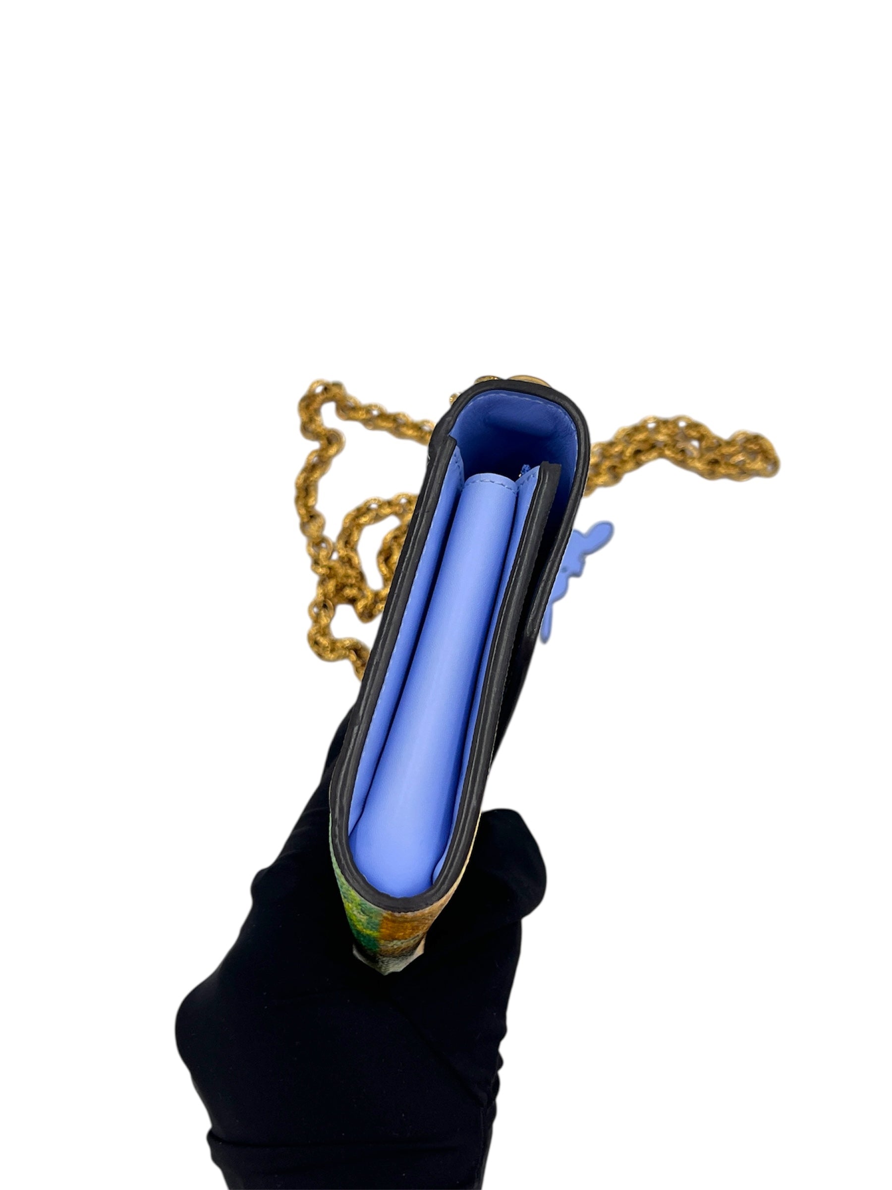 Louis Vuitton Masters Collection Van Gogh Chain Wallet