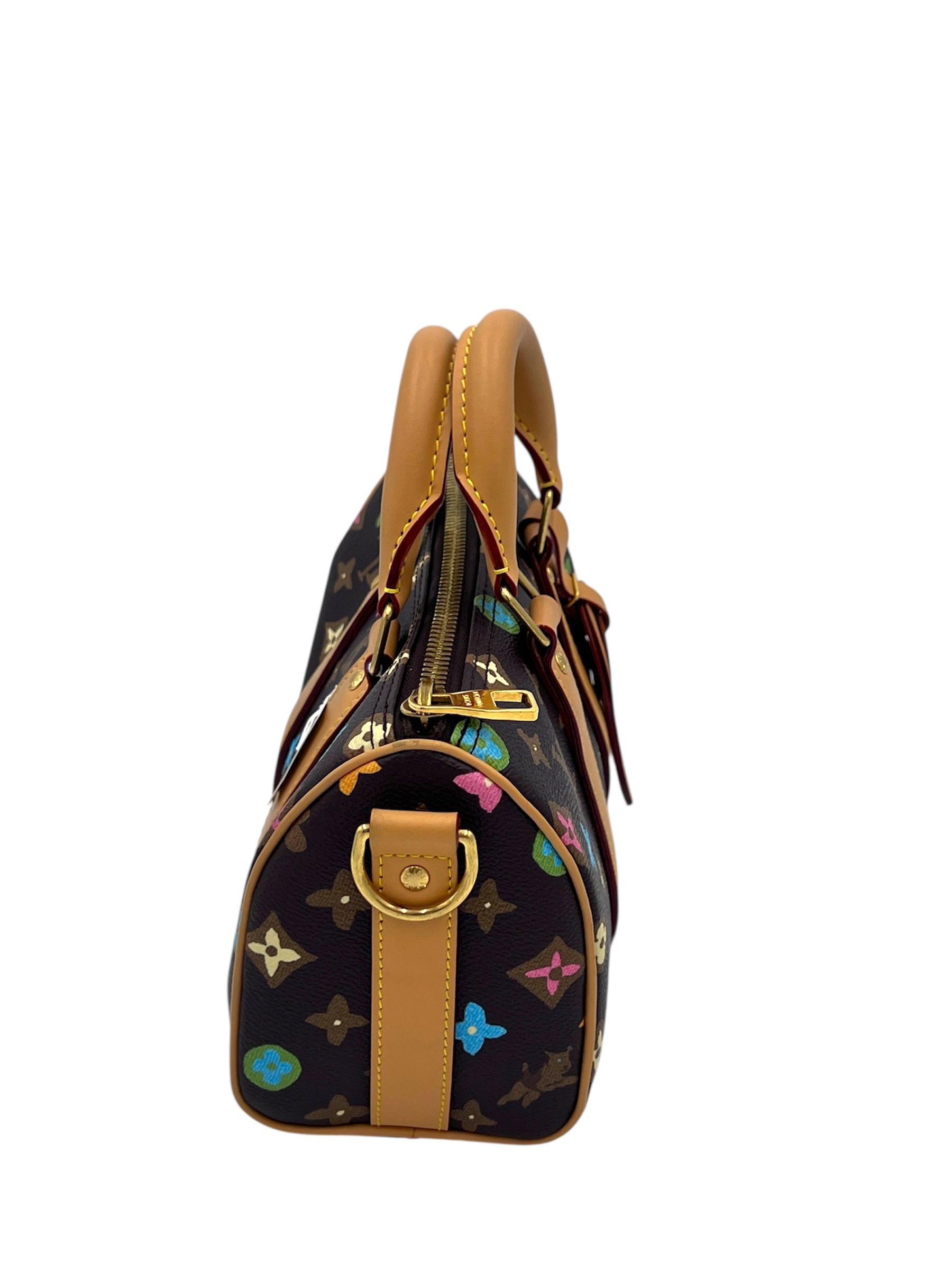 Louis Vuitton X Tyler the Creator Keepall Bandouliere 25