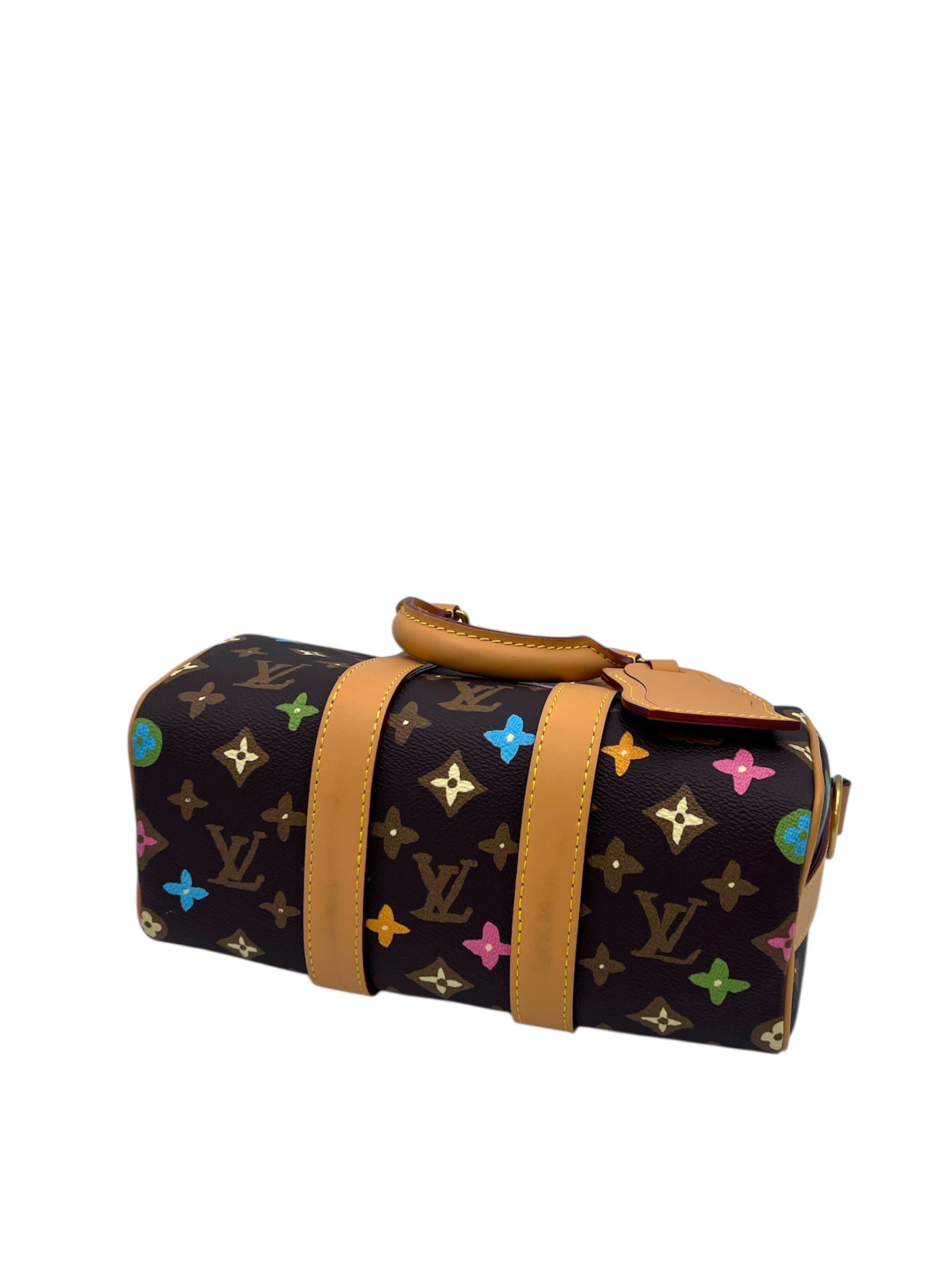 Louis Vuitton X Tyler the Creator Keepall Bandouliere 25