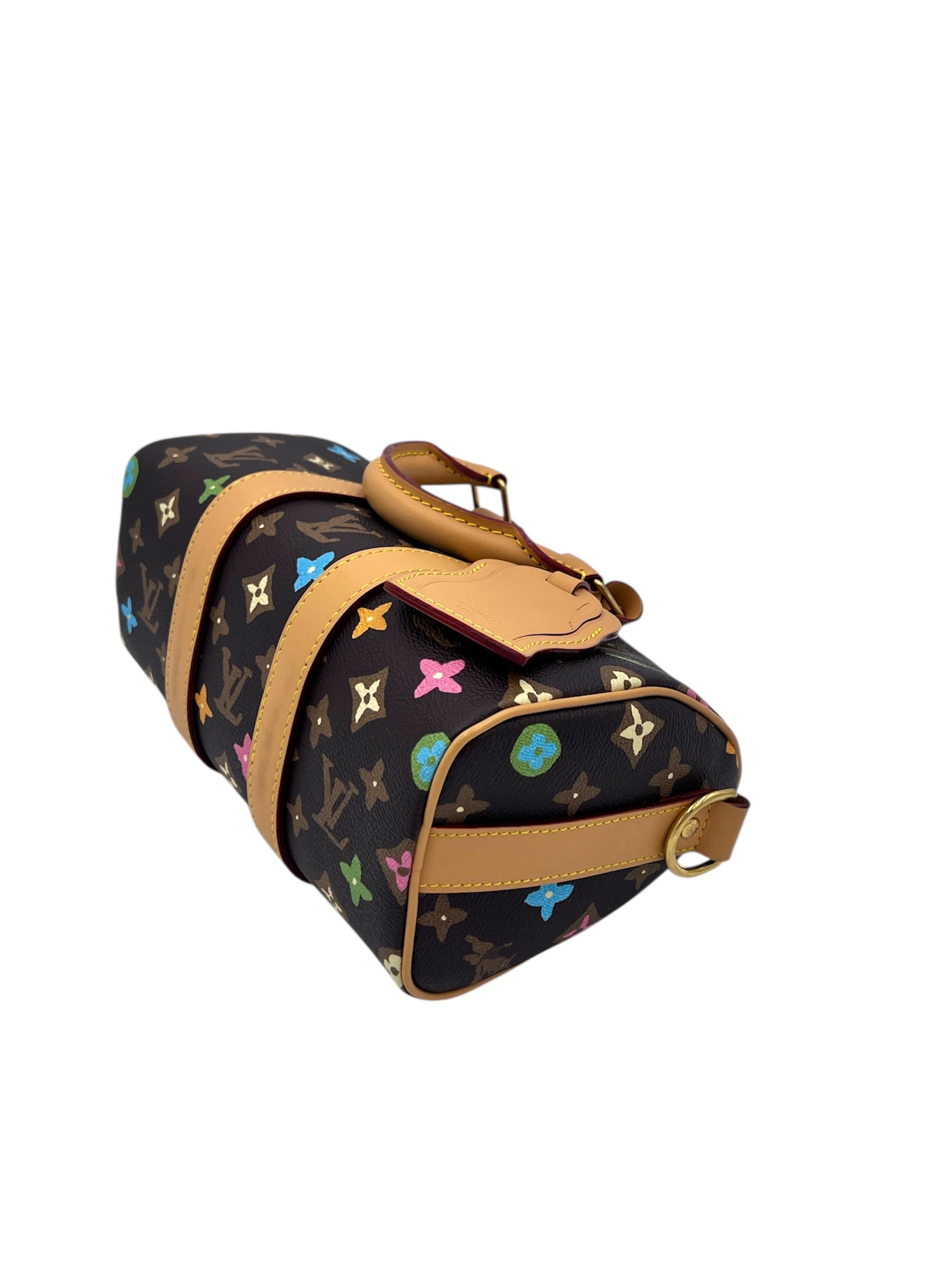 Louis Vuitton X Tyler the Creator Keepall Bandouliere 25